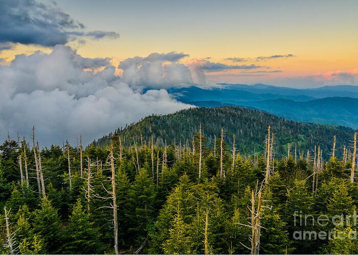 Clingmans Dome Greeting Card featuring the photograph Lifting fog by Anthony Heflin