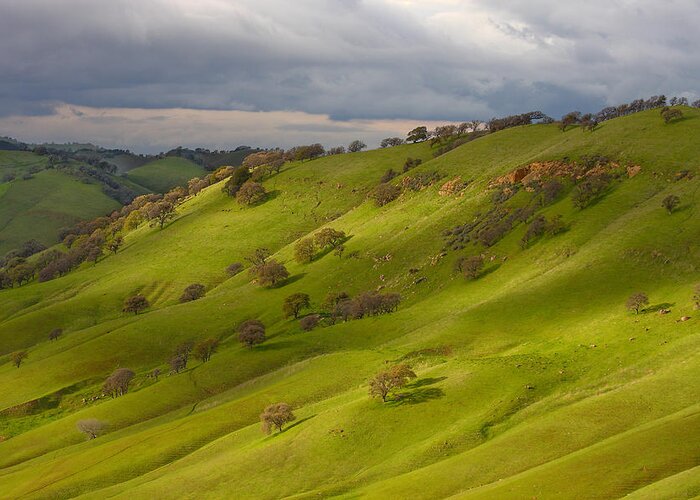 Landscape Greeting Card featuring the photograph Light And Shadows On A Green Hillside by Marc Crumpler