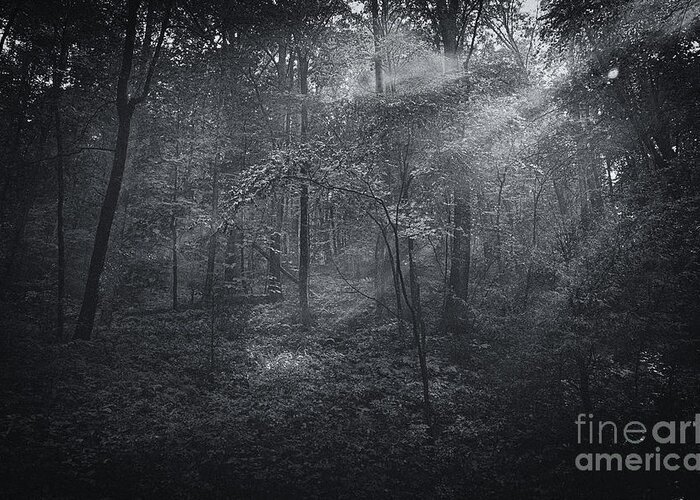 Black And White Greeting Card featuring the photograph Light Beams by David Waldrop