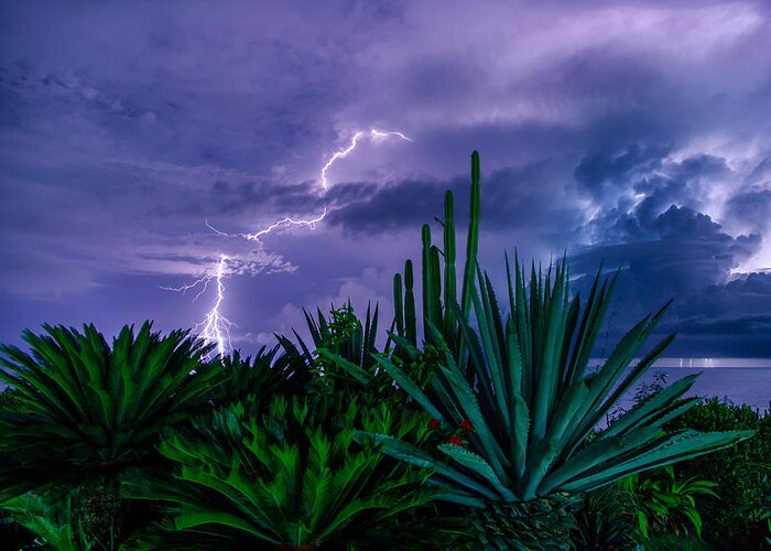 Lightning Greeting Card featuring the photograph Lightning during storm by Dmitry Sergeev