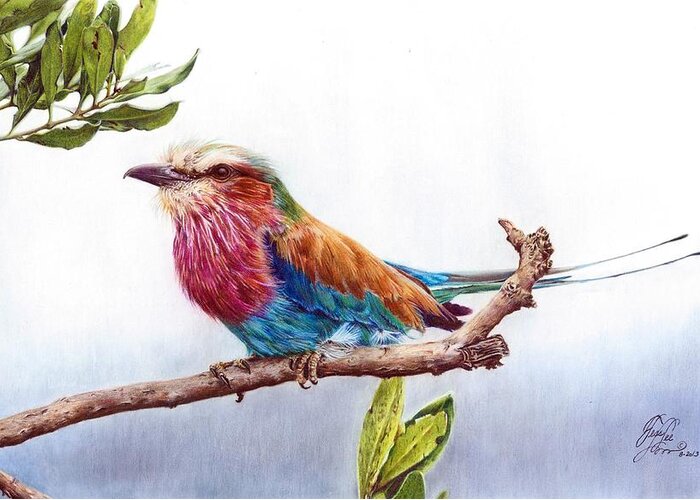Bird Greeting Card featuring the mixed media Lilac Breasted Roller by Tess Lee Miller