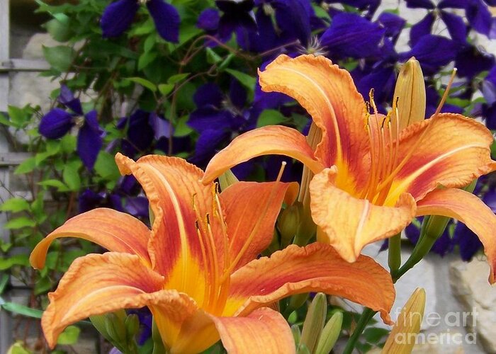 Lilies Greeting Card featuring the photograph Lilies and Clematis by Jackie Mueller-Jones