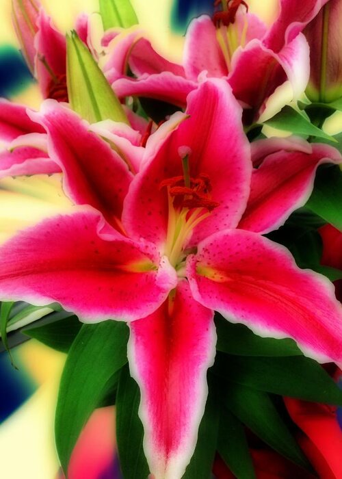 Lilies Greeting Card featuring the photograph Lilies by Carlos Avila