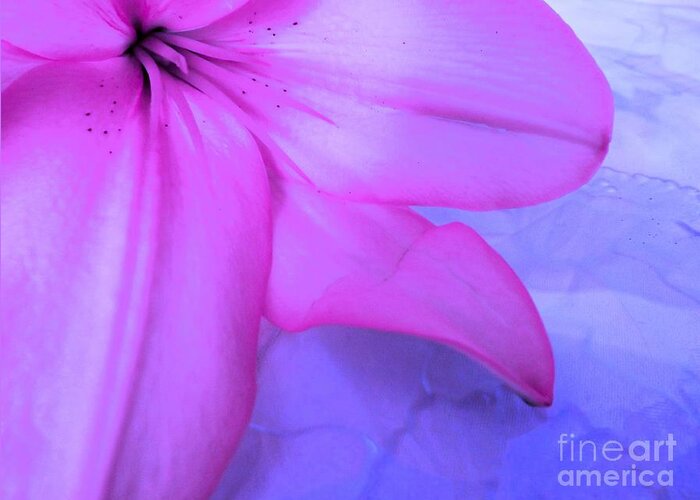Lily Greeting Card featuring the photograph Lily - Digital Art by Robyn King