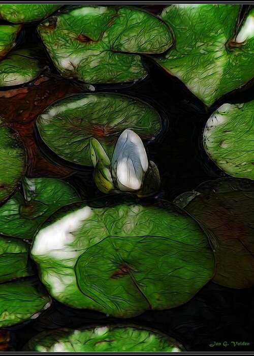 Green Greeting Card featuring the painting Lily Pond by Jon Volden