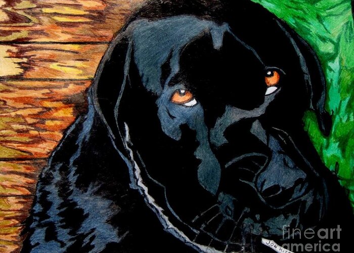 Black Dog Paintings Greeting Card featuring the drawing Lily the dog by Jon Kittleson