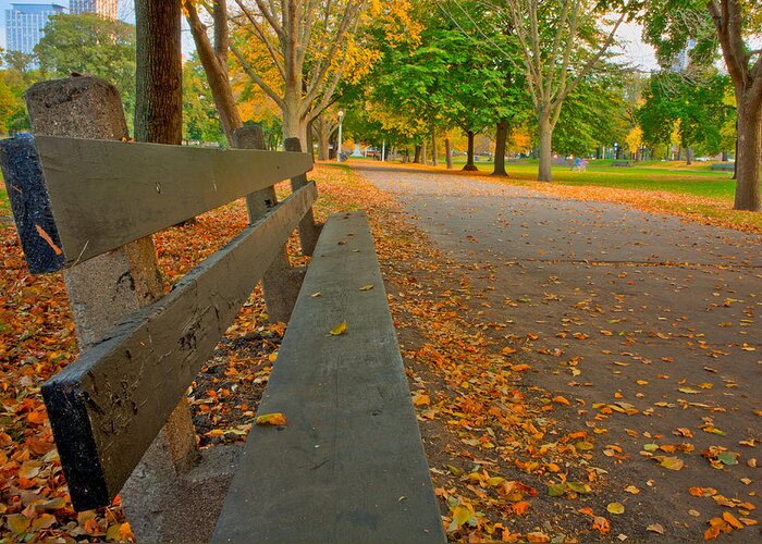 Fall Greeting Card featuring the photograph Lincoln Park Bench in Fall by Anthony Doudt