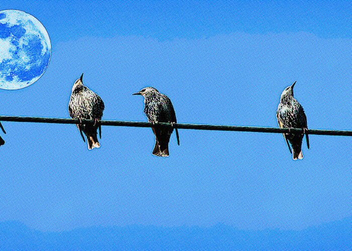 Lined Up Birds Pop Art Greeting Card featuring the digital art Lined up Birds Pop Art by Celestial Images