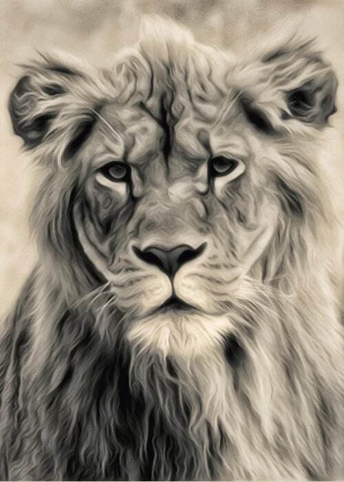 Lion Greeting Card featuring the photograph Lion by Wade Aiken