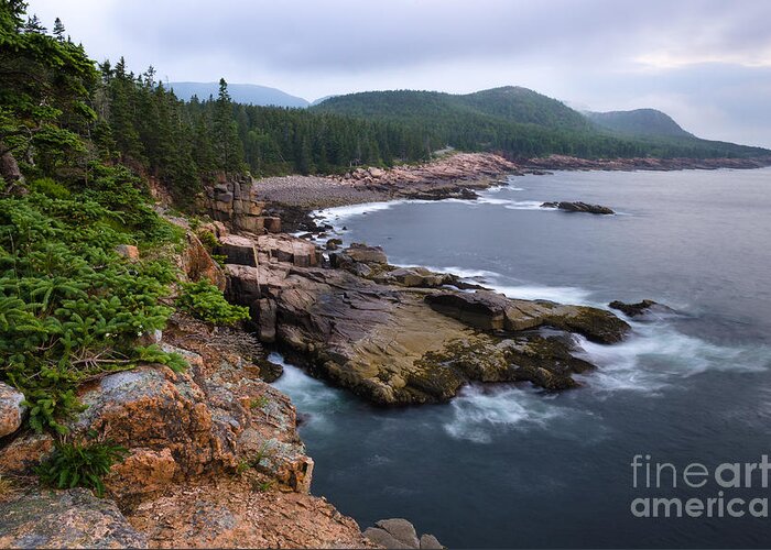 Otter Cliffs Greeting Card featuring the photograph Listening to the Waves by Tamara Becker