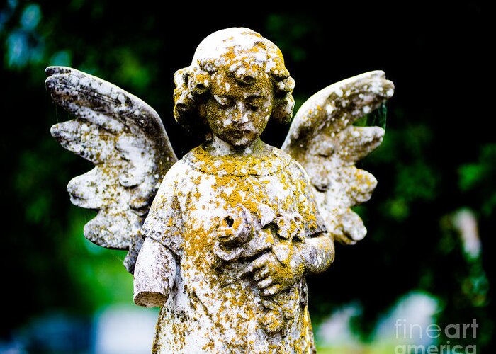 Cemetery Greeting Card featuring the Little Angel by Sonja Quintero