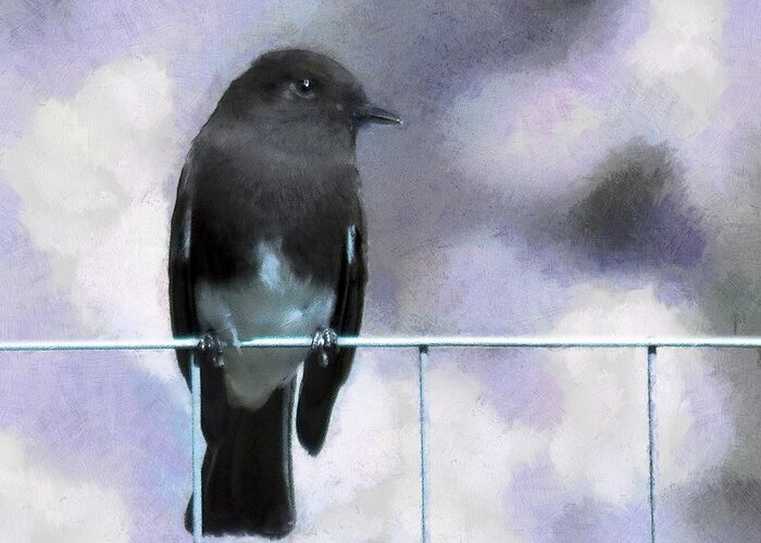 Azz Greeting Card featuring the digital art Little Black Phoebe by Rhonda Strickland
