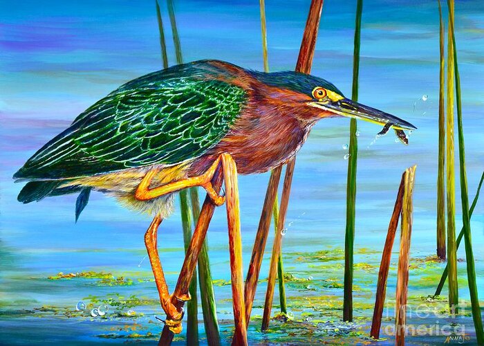 Perch Greeting Card featuring the painting Little Green Heron by AnnaJo Vahle