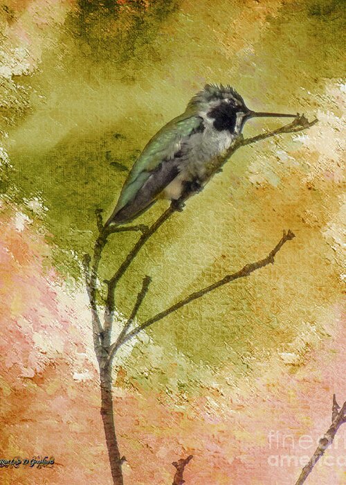 Hummingbird Greeting Card featuring the photograph Little Hummingbird by Rhonda Strickland