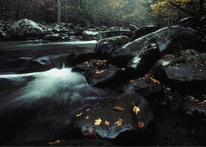 Color Greeting Card featuring the photograph Little Pigeon River, Great Smoky by Peter Essick