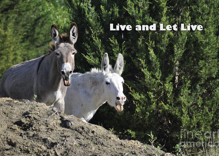 Live And Let Live Greeting Card featuring the photograph Live and Let Live by Cheryl McClure