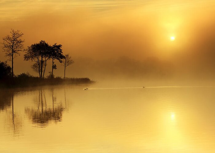 Loch Ard Greeting Card featuring the photograph Loch Ard morning glow by Grant Glendinning