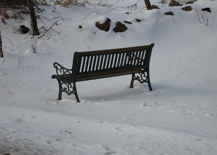 Bench Greeting Card featuring the photograph Lone Bench by Jenna Mengersen