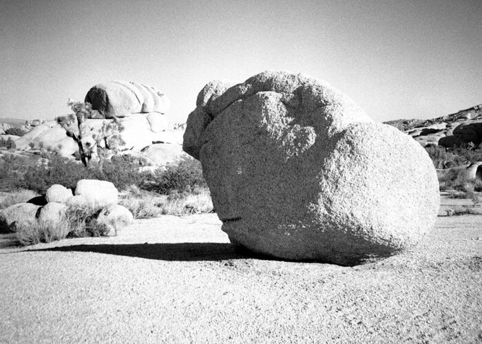 Diana F+ Greeting Card featuring the photograph Lone Rock by Alex Snay