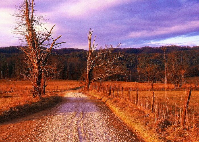 Fine Art Greeting Card featuring the photograph Lonely Road by Rodney Lee Williams