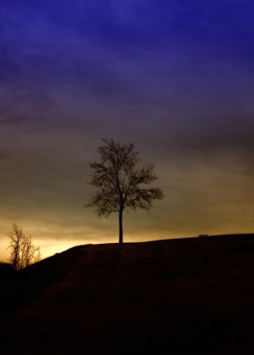Single Tree Greeting Card featuring the photograph Lonely Tree on Hill by David Zumsteg