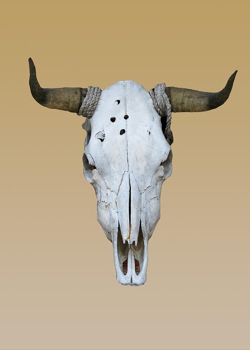 Longhorn Greeting Card featuring the photograph Longhorn Skull by Linda Phelps