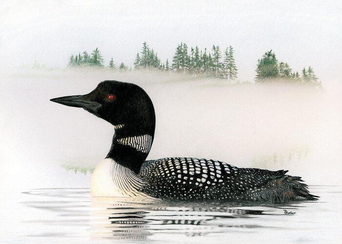 Loon Greeting Card featuring the drawing Loon in Fog by Brent Ander