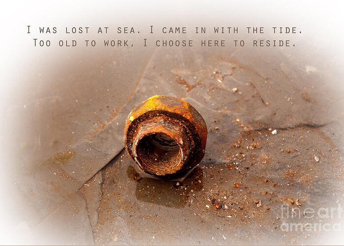 Lost At Sea Greeting Card featuring the photograph Lost At Sea by Lena Wilhite