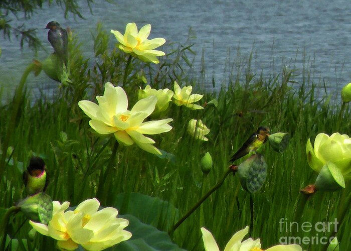 Flowers Greeting Card featuring the photograph Lotus and Swallows by Deborah Smith