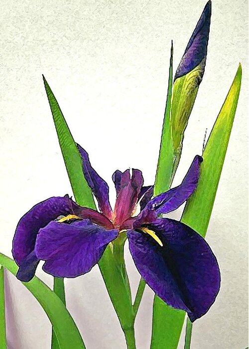 Flower Greeting Card featuring the digital art Louisiana Iris by Deborah Smith