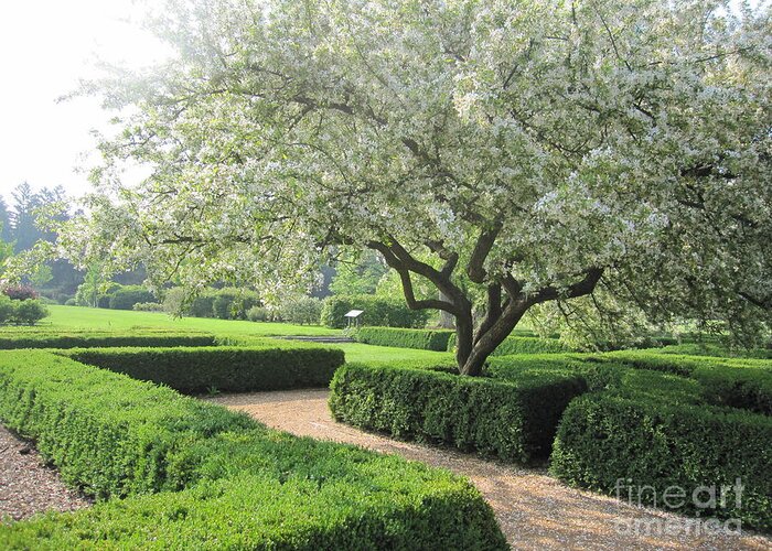 Maze Garden Greeting Card featuring the photograph Lovely Maze by Terry Hunt