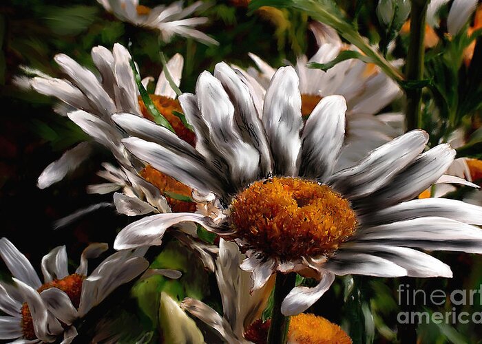 Daisies Greeting Card featuring the photograph Loves Me Loves Me Not by Louise St Romain