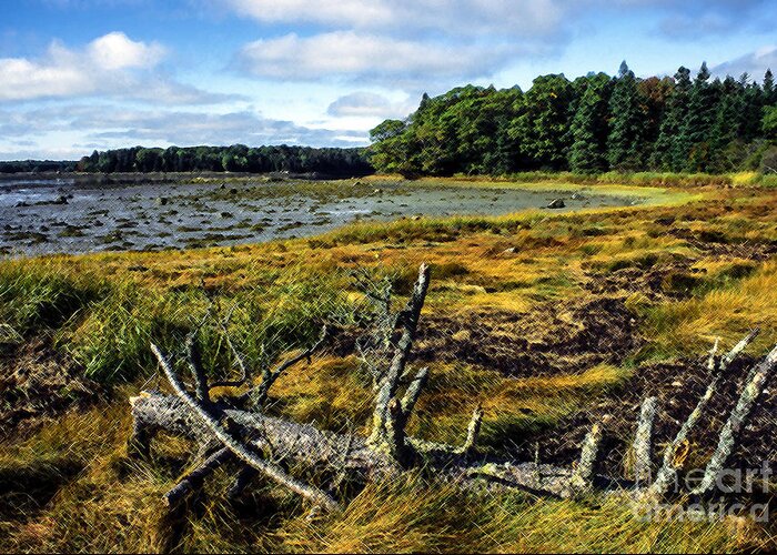 Deer Isle Greeting Card featuring the photograph Low Tide Reach Road by Thomas R Fletcher