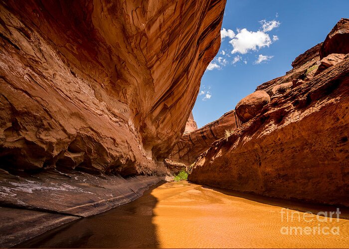 Coyote Gulch Greeting Card featuring the photograph Lower Coyote Gulch - Utah by Gary Whitton