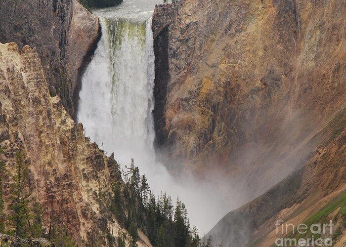 Yellowstone Greeting Card featuring the photograph Lower Falls - Yellowstone by Mary Carol Story