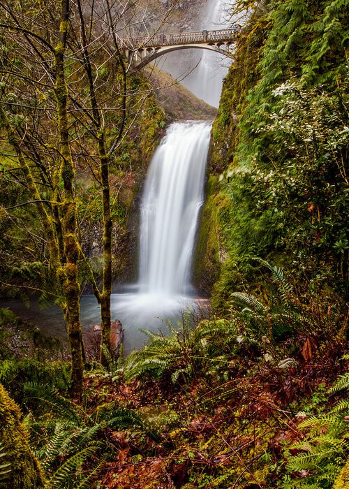 Oregon Greeting Card featuring the photograph Lower Multnomah Falls by Scott Law