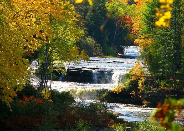 Waterfalls Greeting Card featuring the photograph Lower Tahquamenon Falls in October No 3 by Keith Stokes