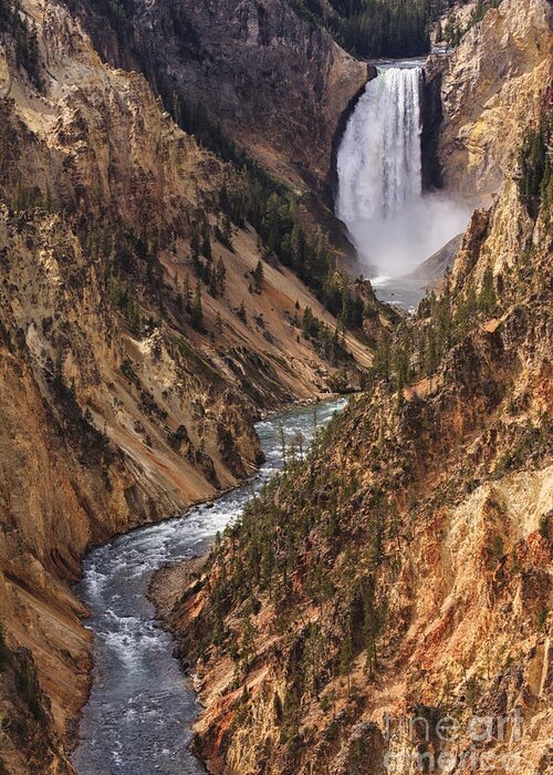 Artist Point Greeting Card featuring the photograph Lower Yellowstone Falls II by Mark Kiver