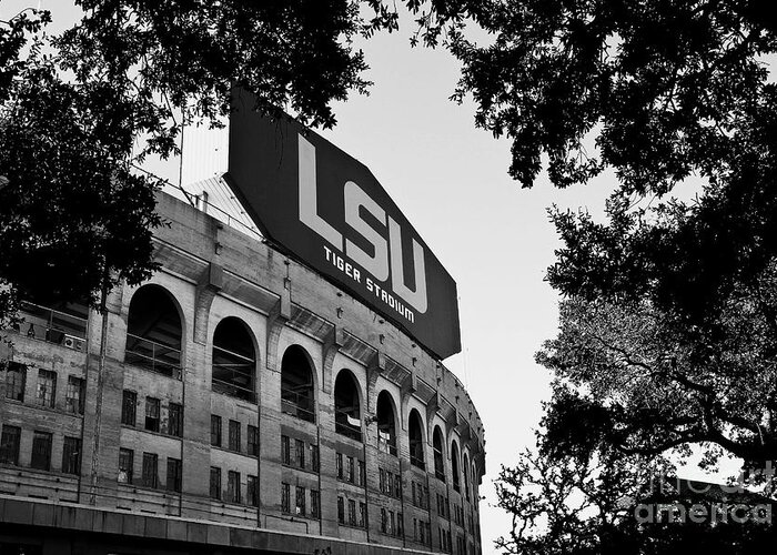 Black&white Greeting Card featuring the photograph LSU Through the Oaks by Scott Pellegrin