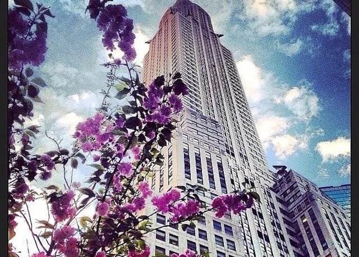 Nyc Greeting Card featuring the photograph #lunchtimeviews #chrylserbuilding by Krista Feierabend