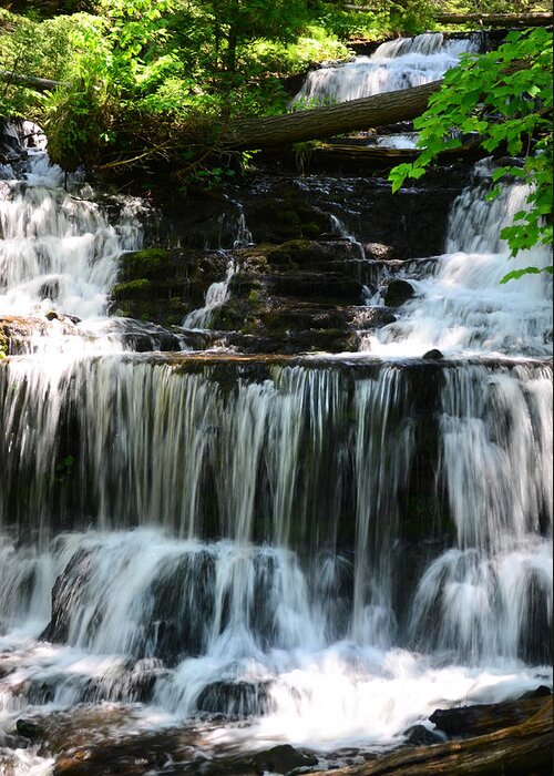 Waterfall Greeting Card featuring the photograph Lwv60017 by Lee Winter