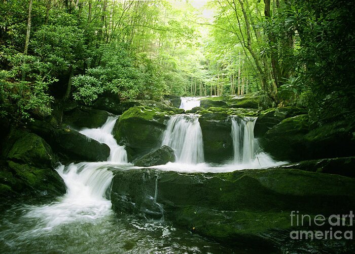 Green Greeting Card featuring the painting Lynn Camp Prong Falls by Teri Atkins Brown