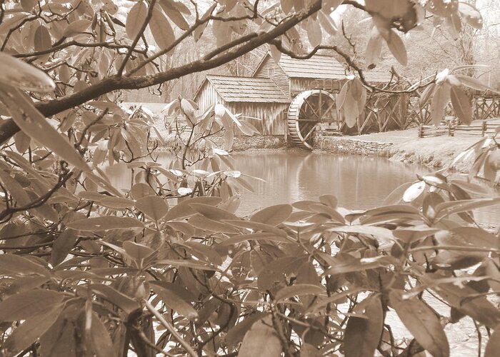 Mabry Mill Greeting Card featuring the photograph Mabry Mill in Sepia by Diannah Lynch