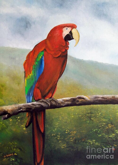 Bird Greeting Card featuring the painting Macaw by Kenneth Harris