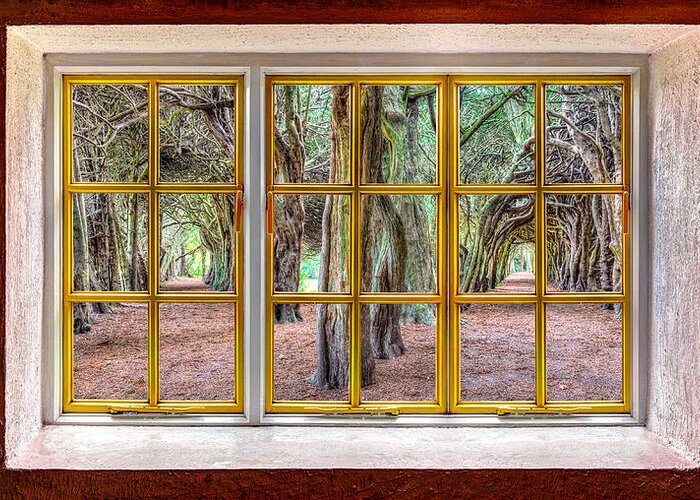 Architecture Greeting Card featuring the photograph Magical Trees by Semmick Photo