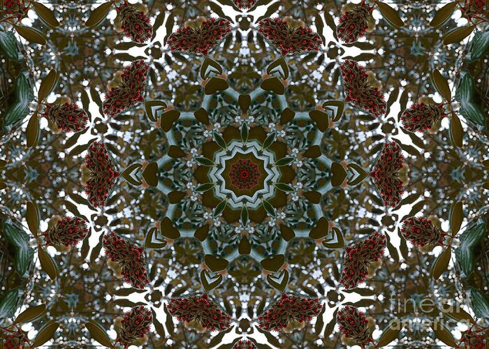 Kaleidoscope Greeting Card featuring the photograph Magnolia Seeds Kaleidoscope by MM Anderson