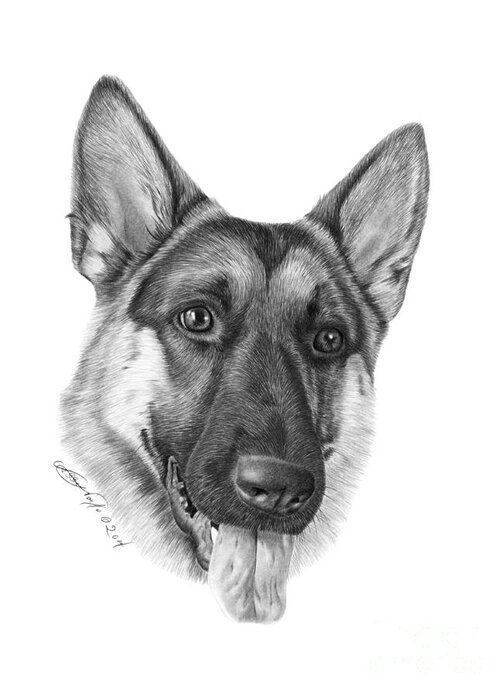 German Shepherd Greeting Card featuring the photograph Magnus - 037 by Abbey Noelle