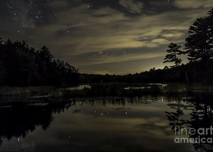 Maine Greeting Card featuring the photograph Maine Beaver Pond At Night by Patrick Fennell
