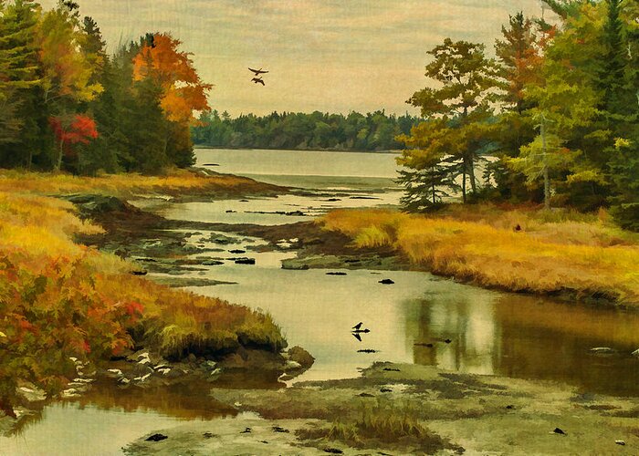 Maine Greeting Card featuring the photograph Maine Wetlands by Cathy Kovarik