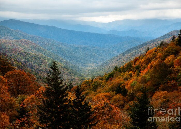 Autumn Foliage Greeting Card featuring the photograph Majestic Autumn In The Smokies by Deborah Scannell